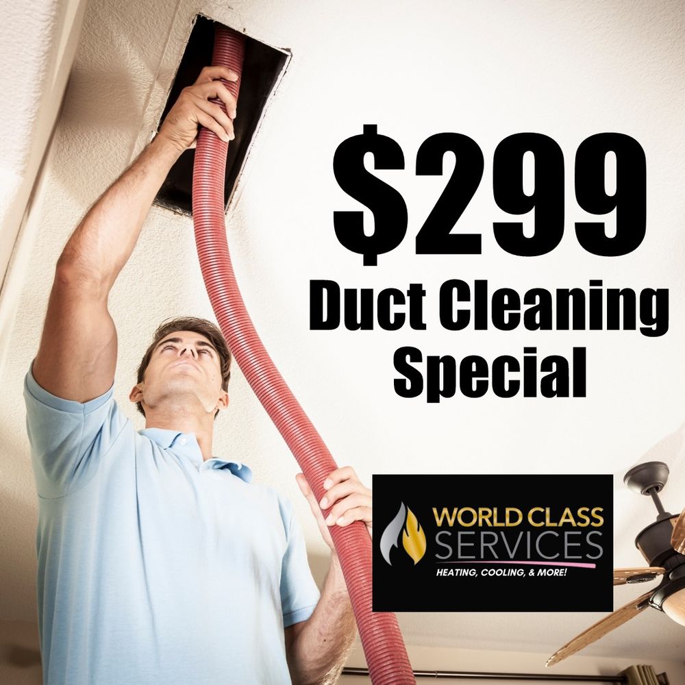 World Class Services