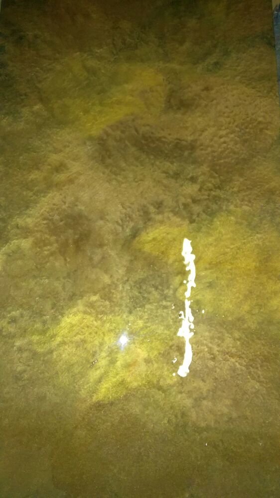 image of business Best Coatings