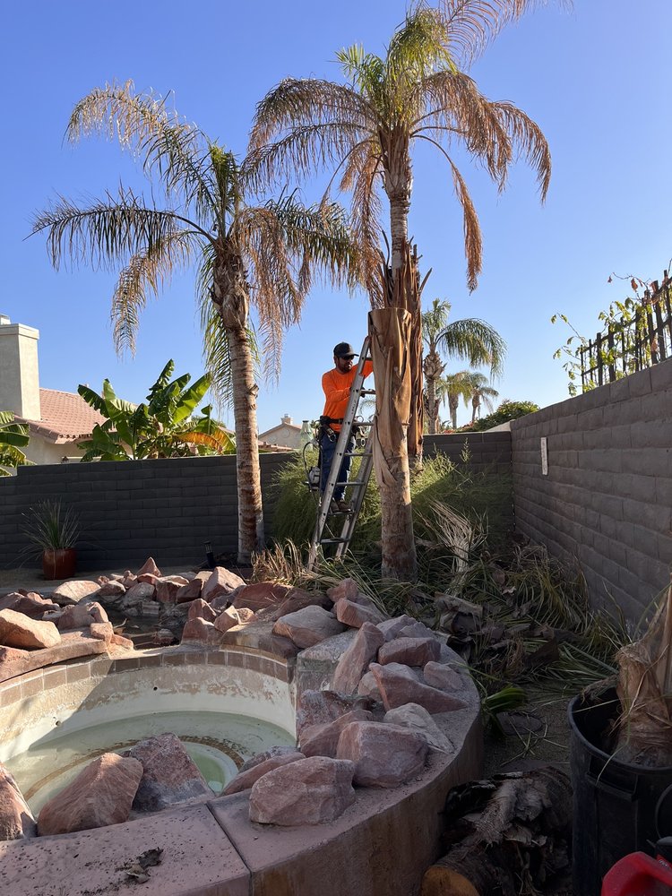 Luis Tree Service