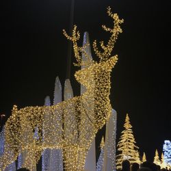 enchant christmas 92 photos 36 reviews festivals 1000