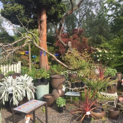 Gardens At Padden Creek Nurseries Gardening 2017 Old Fairhaven Photo Of Gardens At Padden Creek Bellingham Wa United States