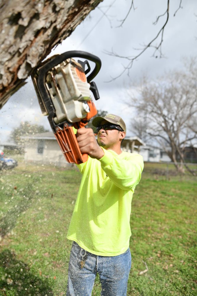 The Goat Lawn & Tree Services