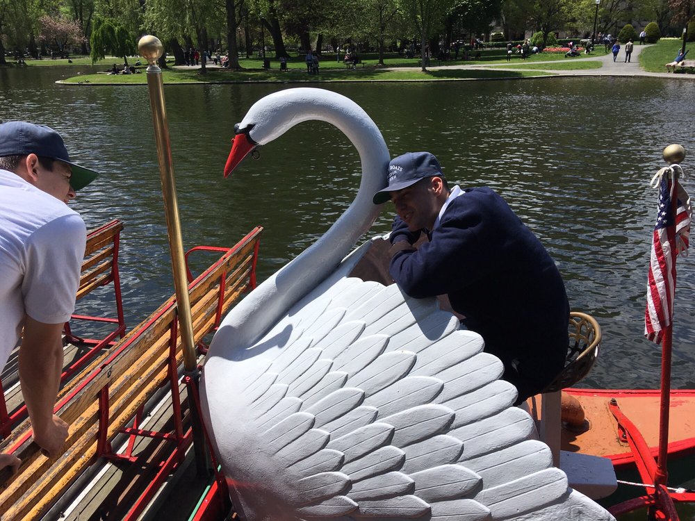 swan boats photos photos for swan boats of boston yelp swan boats photos photos for swan boats of boston yelp
