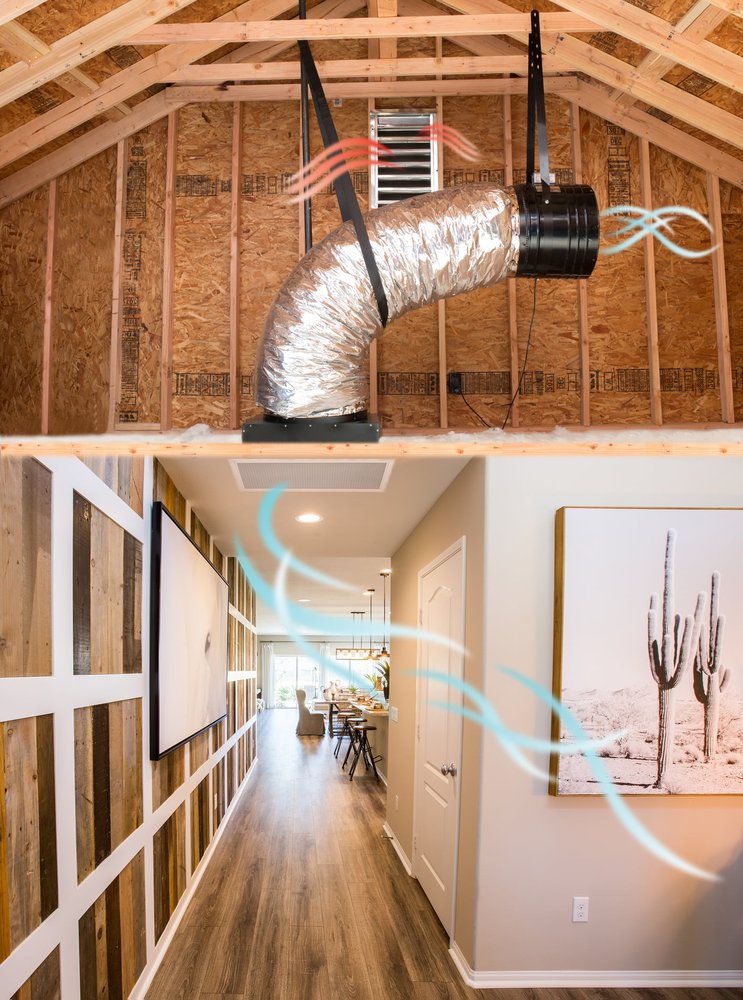 image of business Apex QC Fans
