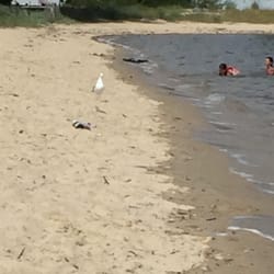 Gloucester Point Beach Park 118 Photos Parks 1255 Greate Rd Photo Of Gloucester Point Beach Park Va United States A