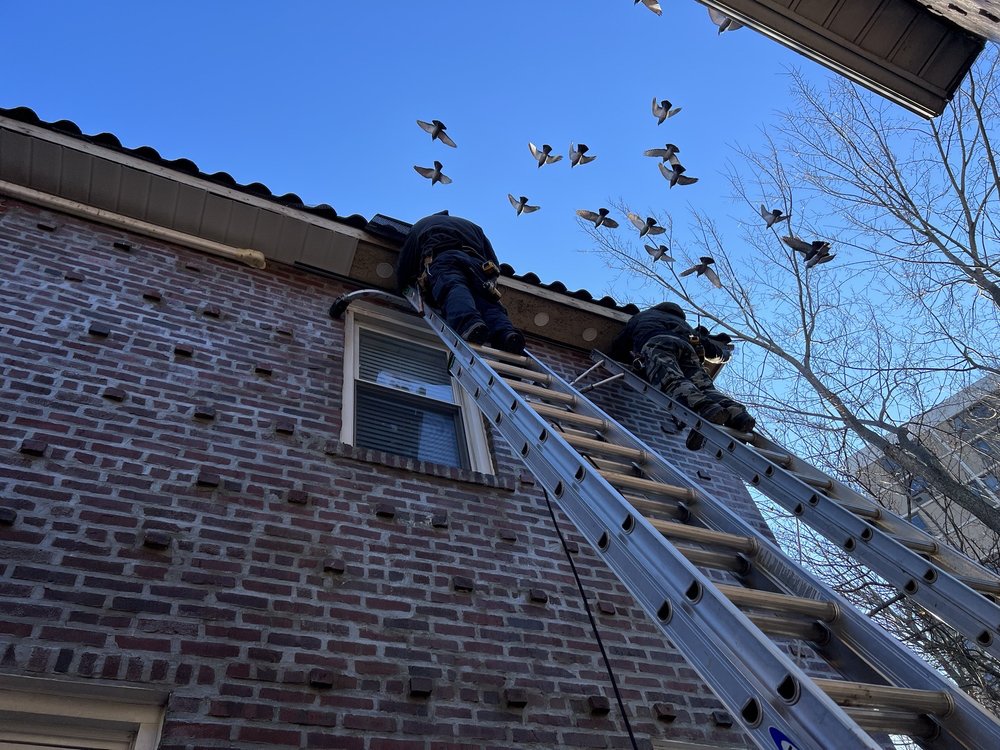 Doshi's Construction And Roofing