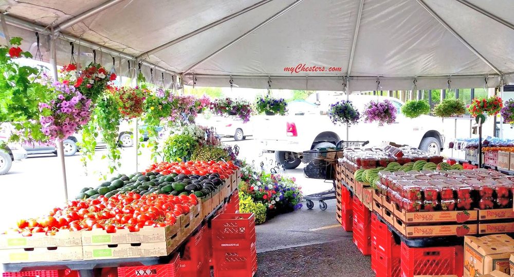 Chester’s Thriftway 51 Photos Grocery 631 W Main St, John Day, OR