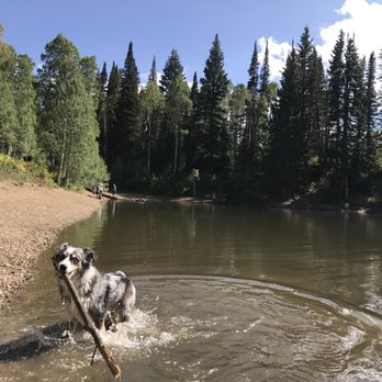 dog lake utah dog lake utah