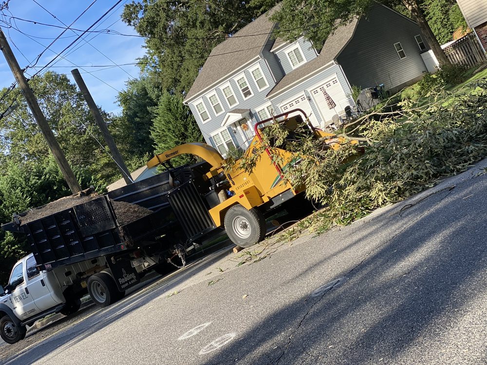 Jewel Landscaping & Tree Service