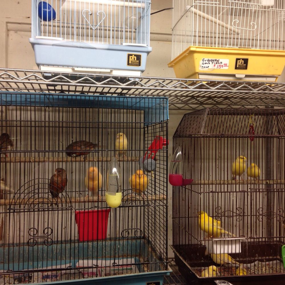 Aquarium and Pet Stores Yelp