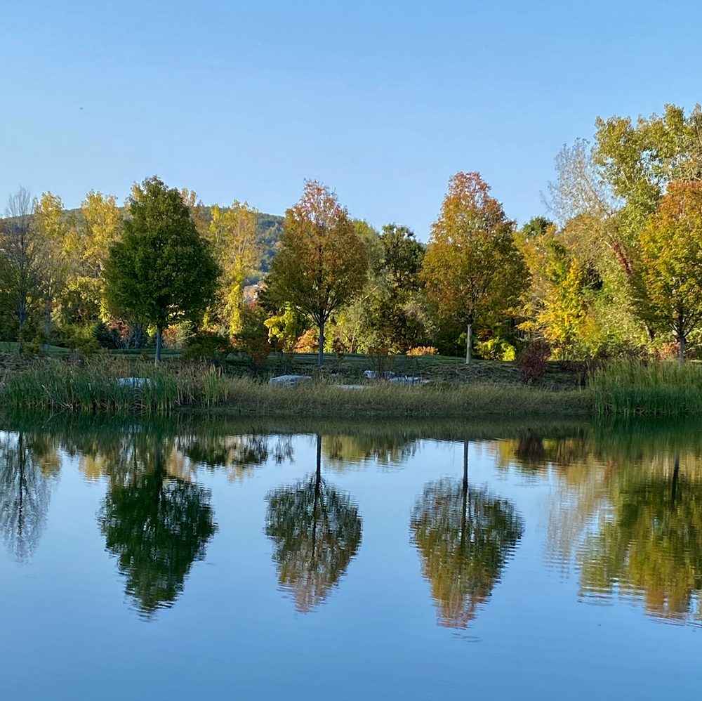 image of business Aesthetics In Dentistry