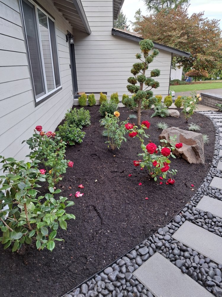 Alejandro’s Landscaping & Construction