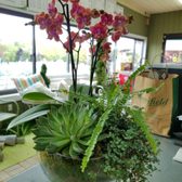 Merrifield Garden Center - 104 Photos & 126 Reviews - Nurseries