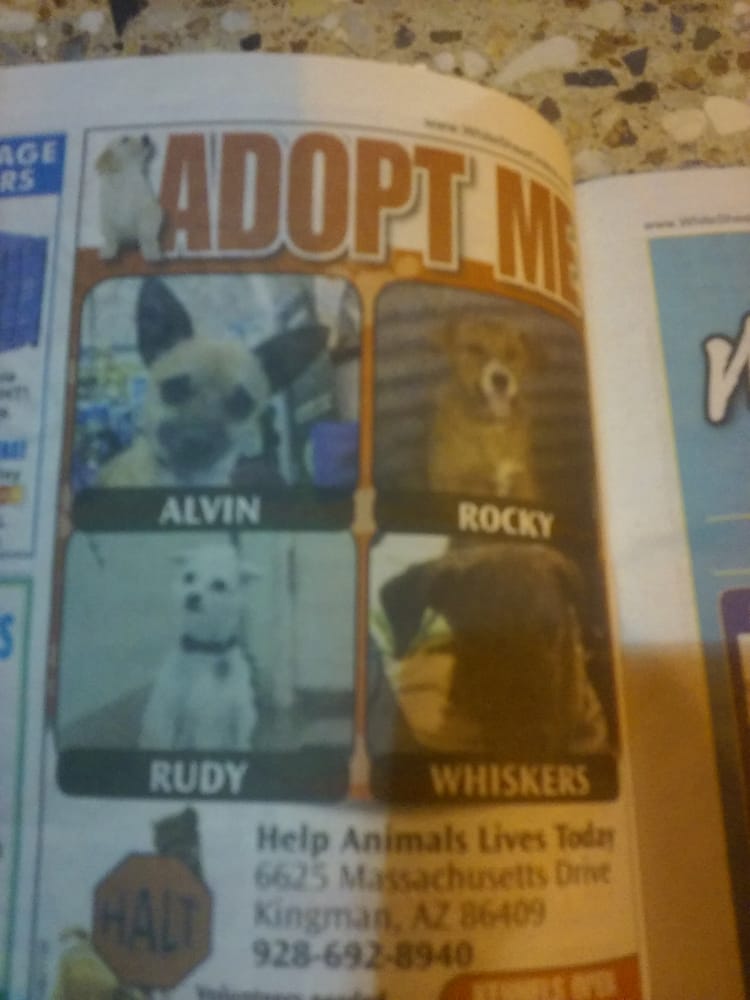 Help Animals Lives Today Animal Shelters 6625 N