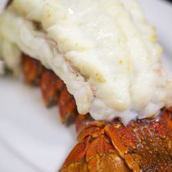 Restaurants In Orlando Yelp Christner S Prime Steak And Lobster