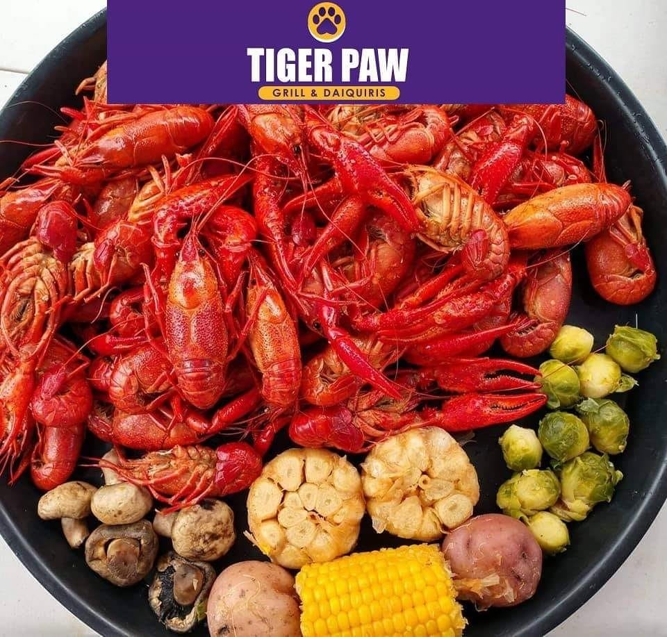 Tiger Paw Tiger Paw