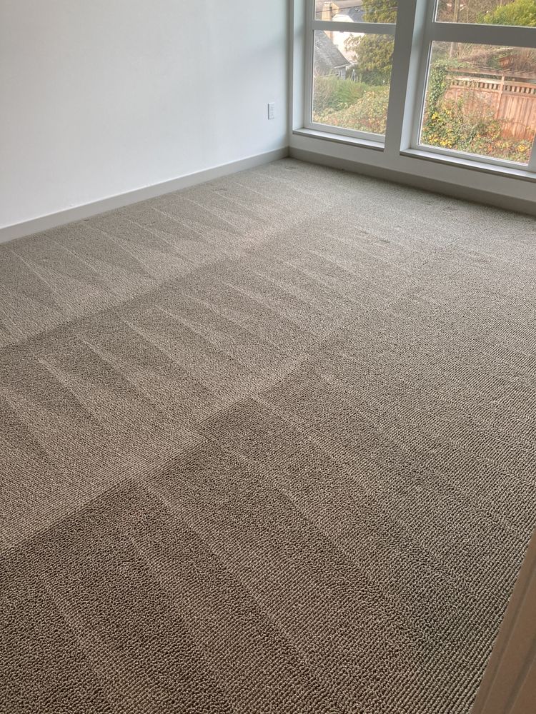 Genesee Carpet Cleaning