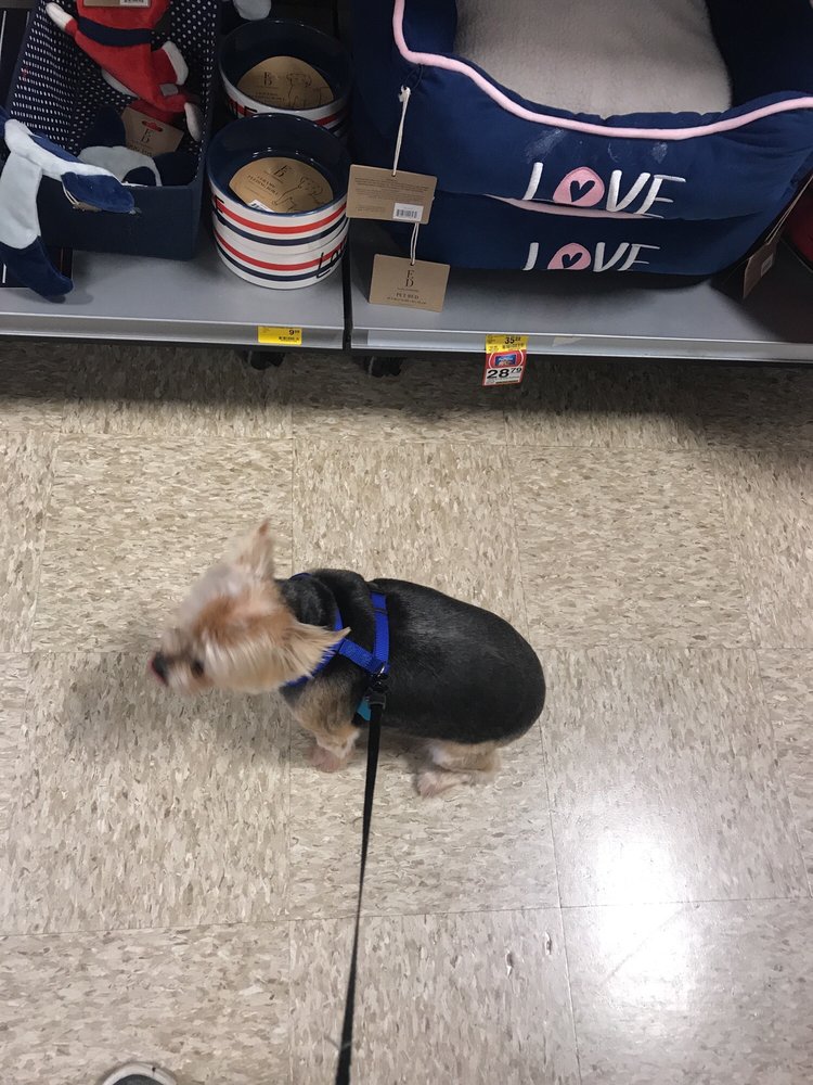 PetSmart