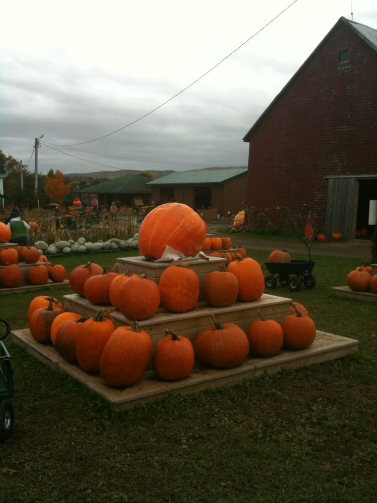 Dill Family Farm Farmers' Market 316526 College Road, Windsor, NS