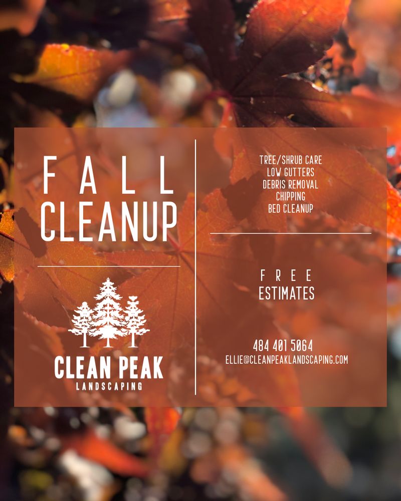 Clean Peak Landscaping