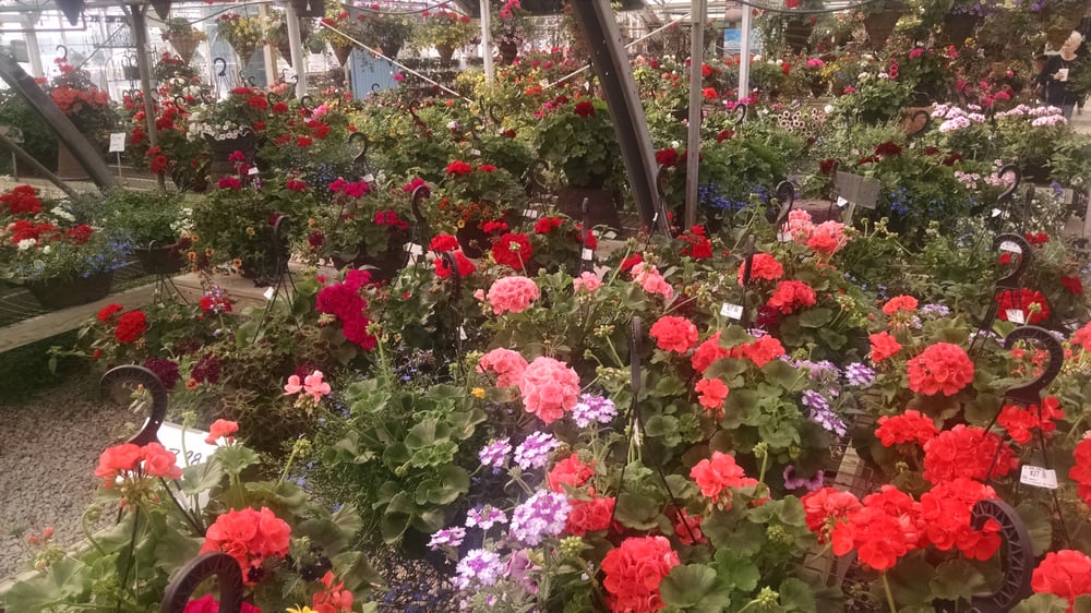 Vilt’s Greenhouse Nurseries & Gardening 24917 Stripmine Rd