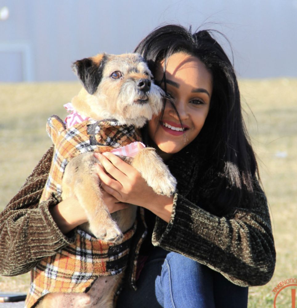 Lucky Puppy Pet Care