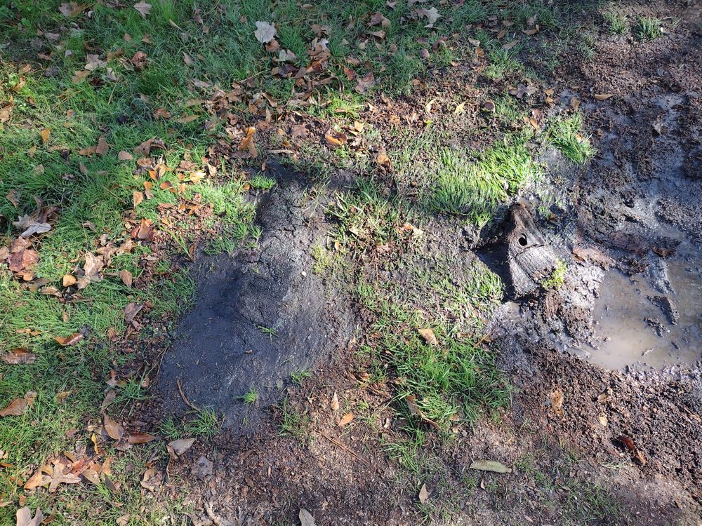 McClarin Tree Services & Landscape