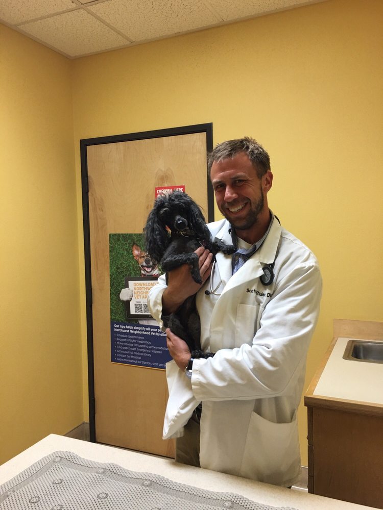 Northwest Neighborhood Veterinary Hospital 44 Photos & 161 Reviews