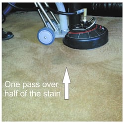 Bell Carpet Cleaning 9136 Elkmont Way Elk Grove Photo Of Bell Carpet Cleaning Elk Grove Ca United States Deep