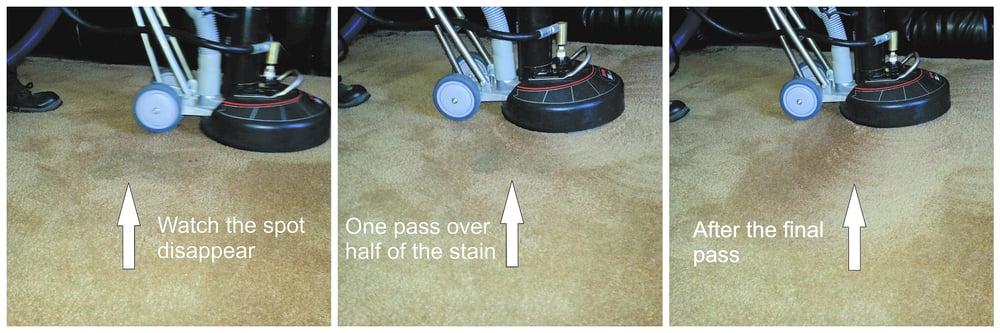 Bell Carpet Cleaning 9136 Elkmont Way Elk Grove Bell Carpet Cleaning 9136 Elkmont Way Elk Grove Ca Phone Number Yelp