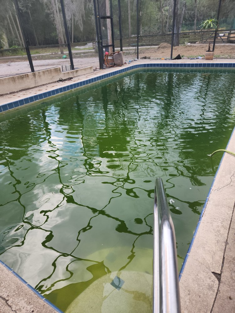 Crystal Clear Pool and Spas