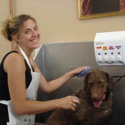 The Grateful Dog Self Serve Dog Wash Pet Groomers 58 B the grateful dog self serve dog wash barnstable town