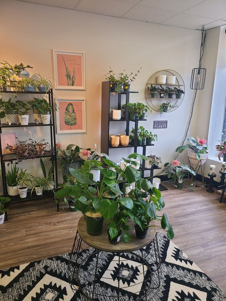 The Plant Bar