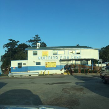 Bluebird Fish Camp - 10 Photos - American (New) - 102 N Farragut Ave