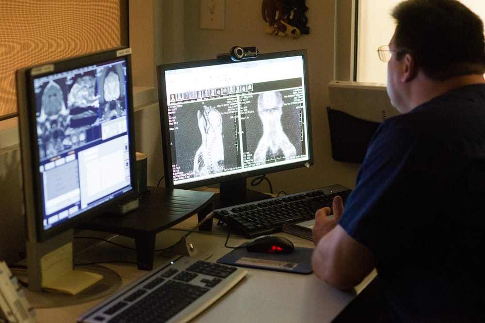 Animal Scan