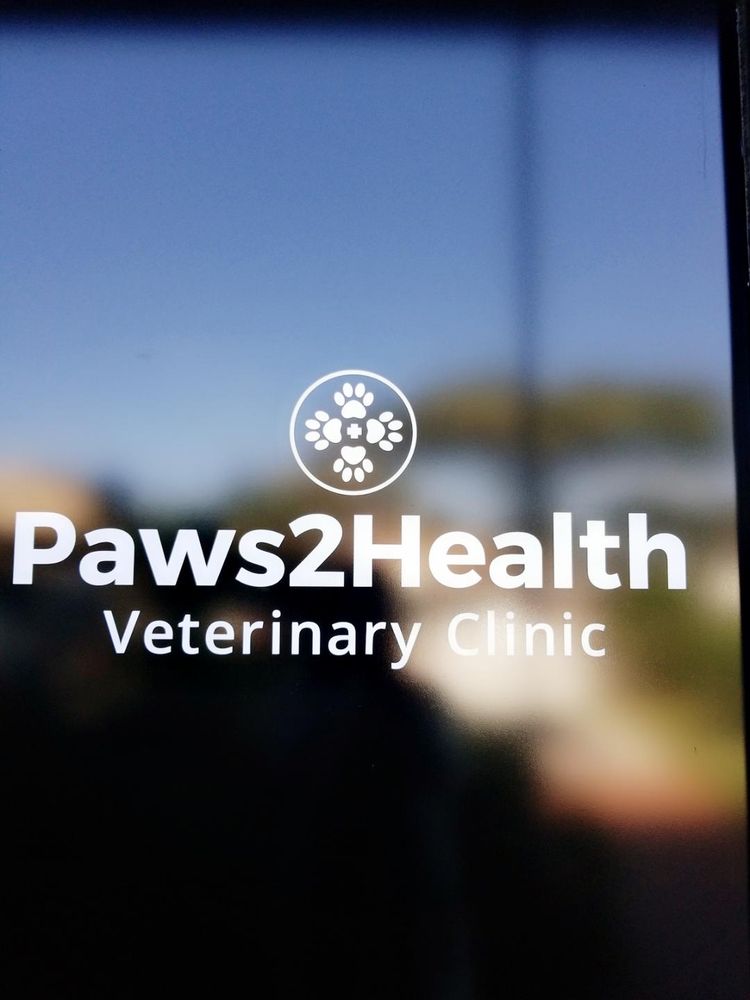 Walk In Is Available We Provide Spay Neuter For Your Sweet Kitties Photo Of Paws2health Veterinary Clinic West Palm Beach Fl United States Walk