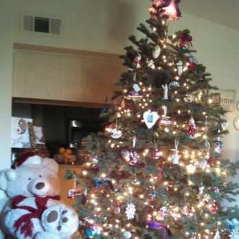 crazy rudolph s christmas trees 64 photos 78 reviews christmas photo of crazy rudolph s christmas trees santa rosa ca united states another
