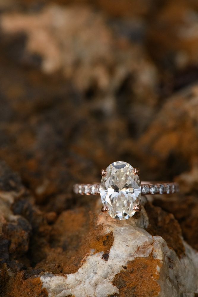 Piper Warlick Photography