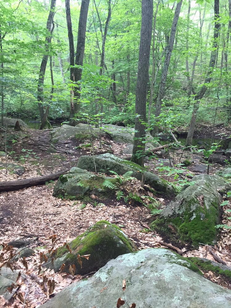 Purgatory Chasm State Reservation 71 Photos & 52 Reviews Parks