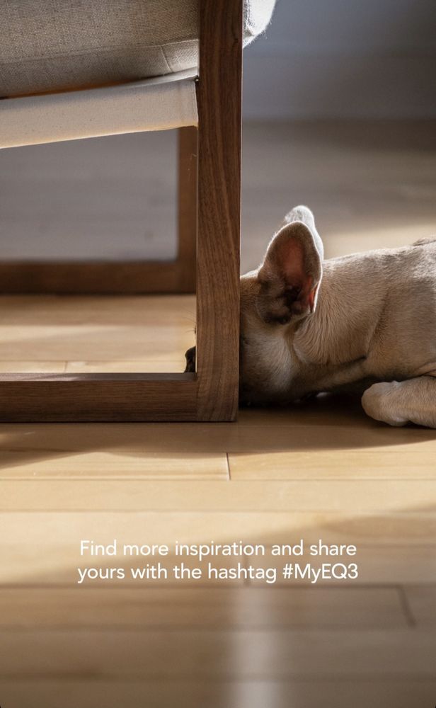 D3 Home Modern Furniture
