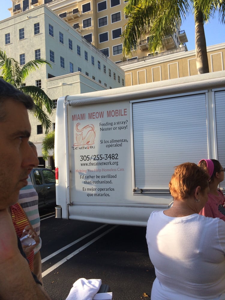 The Cat Network 13 Reviews Animal Shelters Coconut Grove, Miami