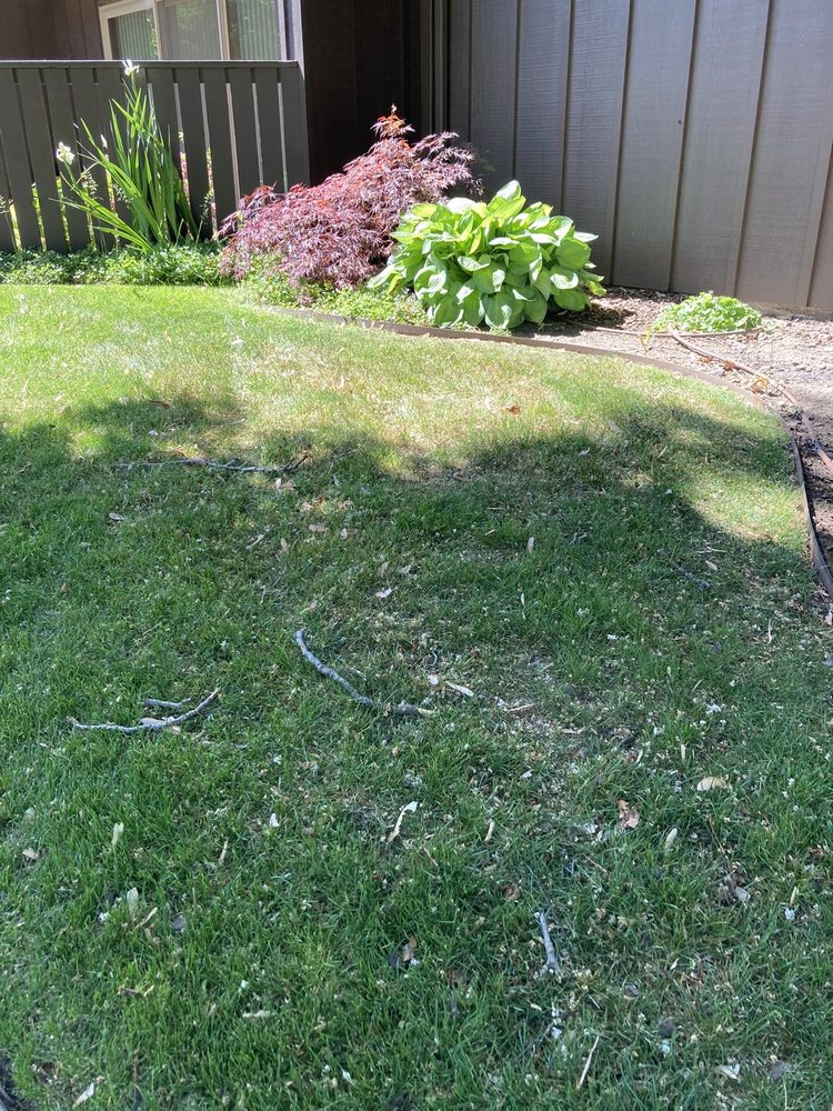 Sunshine Lawn Care Landscaping & Irrigation