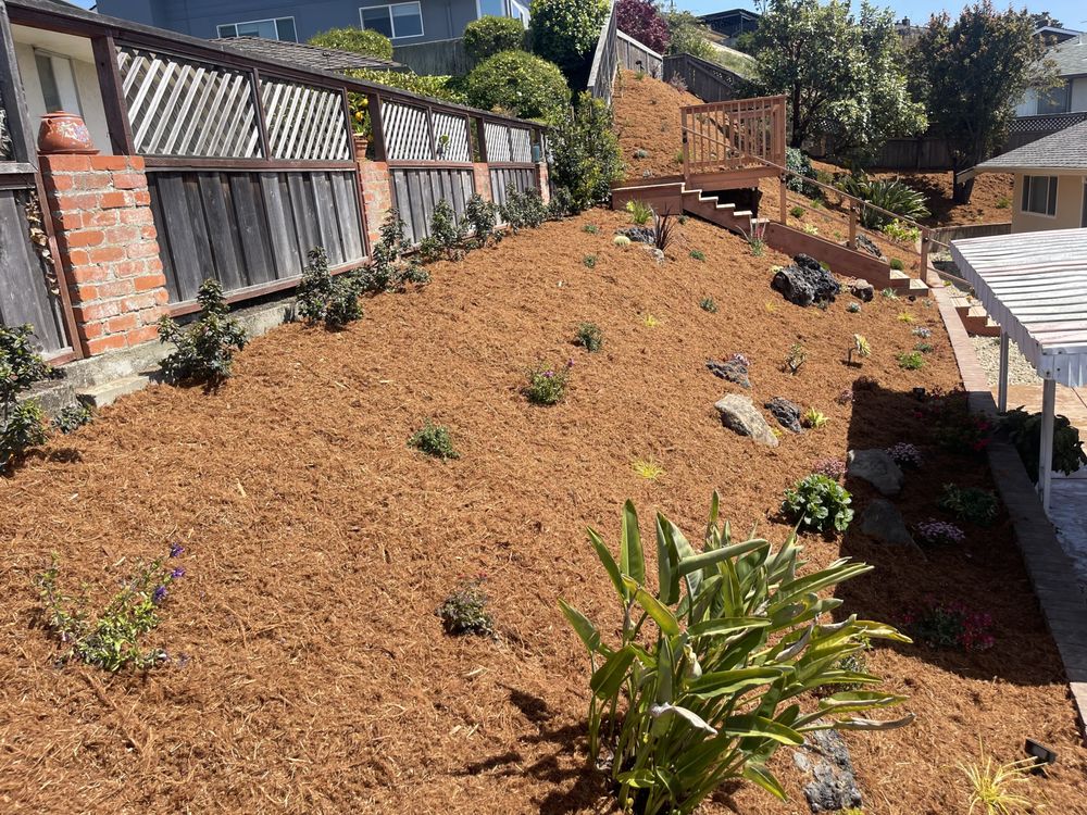 Intuitive Landscape & Construction