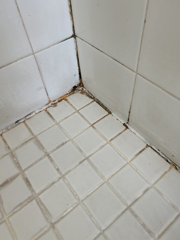 image of business Sir Grout SW Florida