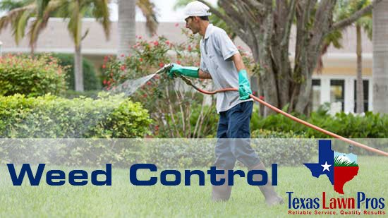 Texas Lawn Pros