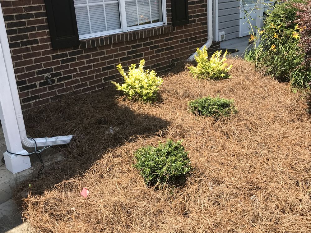 Thomas Lawn & Landscaping