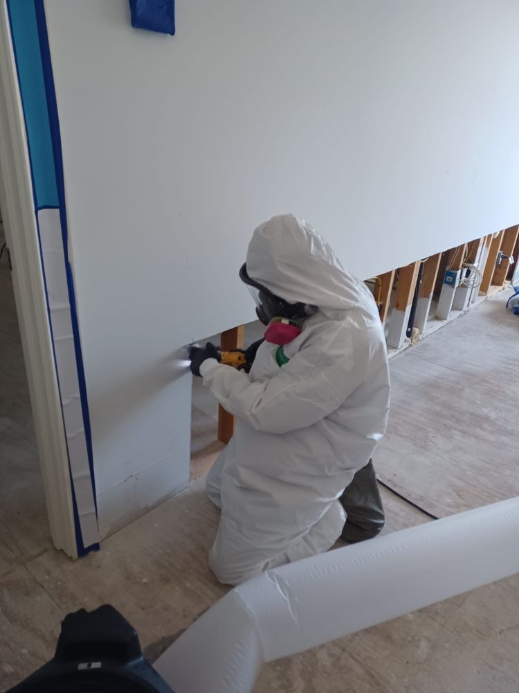 Blue Shark Property Services