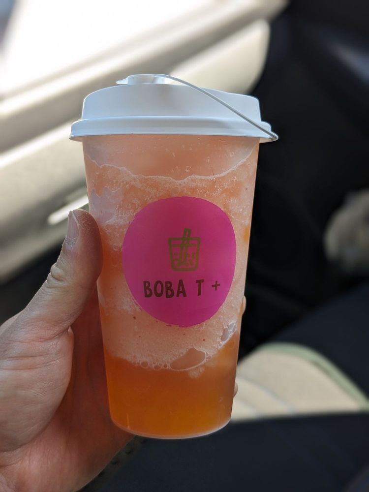 Boba T +
