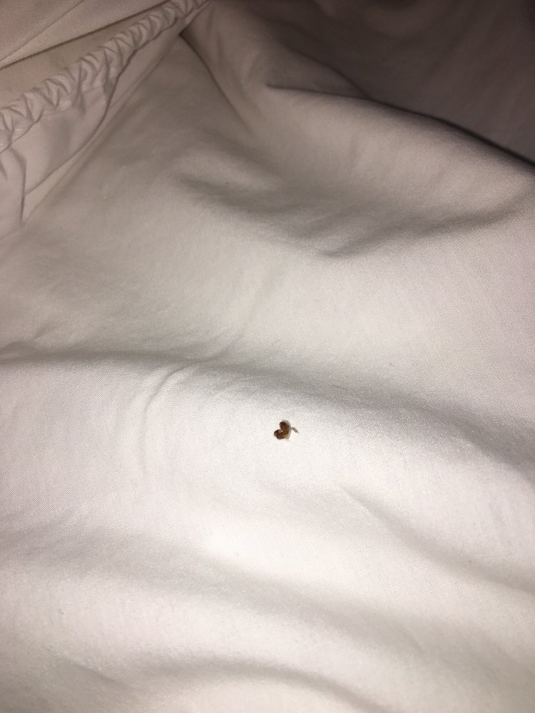 Red Roof Inn Lumberton