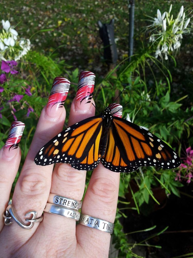 Nails And Spa Middletown Ny Nails And Spa Middletown Ny